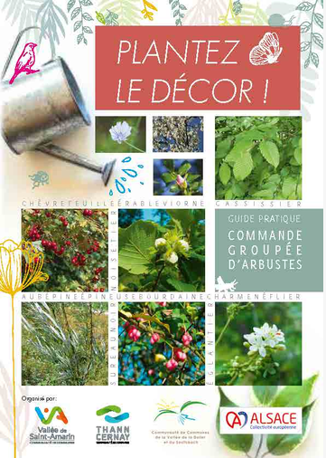 La Communauté de Communes de Thann-Cernay organise à nouveau cette année une commande groupée d’arbustes locaux.  Pour vous aider à choisir vos arbustes ou à composer votre haie, consultez le guide « Plantez le Décor ! » qui vous aidera à mieux connaître les végétaux de notre secteur.  Ecologique, économique, esthétique et pratique, la haie cumule de nombreux avantages !  Commander avant le 31 octobre 2026 en retournant le bon de commande dûment complété et accompagné de votre chèque au pépiniériste partenaire de l’opération (WADEL-WININGER à UEBERSTRASS).  Attention : les végétaux remis sont racines nues, prévoyez de les planter rapidement après les avoir récupérés ! Leur taille n’est pas imposante, il s’agit de tiges de 40 à 90 cm de hauteur uniquement.  Le petit plus ! La plupart des plants proposés porte le label végétal local, cela assure que les semences de base sont prélevées dans notre milieu naturel (zone Nord-Est). Leur production est donc garantie d’origine locale. C’est bien meilleur pour notre biodiversité (les végétaux sauvages et locaux ont bénéficié d’une longue co-évolution avec la faune et la flore locales : ils contribuent ainsi au bon fonctionnement des écosystèmes auxquels ils sont inféodés) ! Opération organisée en partenariat avec la Communauté de Communes de la Vallée de Saint-Amarin.  Pour toute question contactez votre Communauté de Communes (pour la CCTC : 03 89 75 47 72 ou a.masson@cc-thann-cernay.fr)